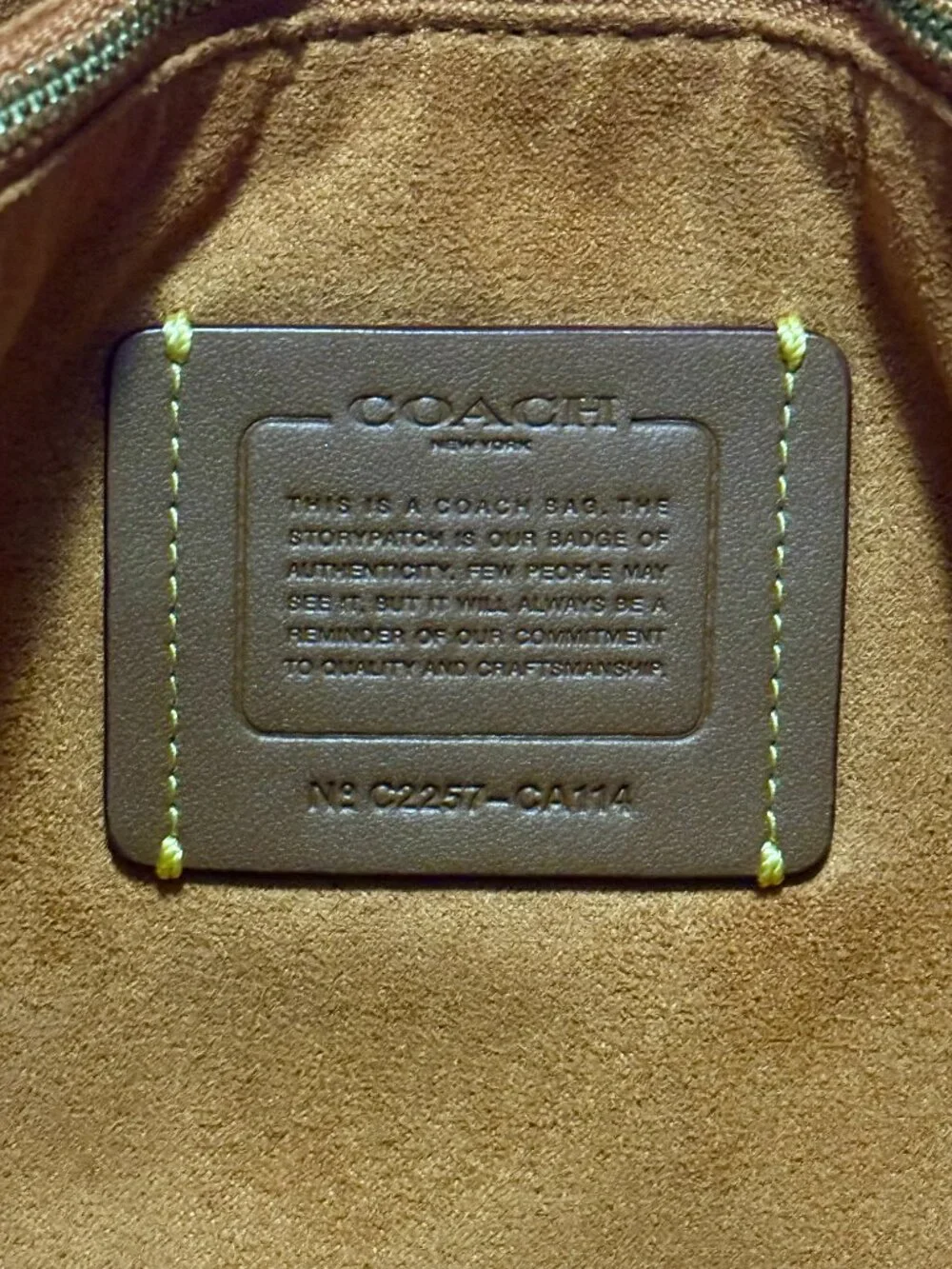 Coach Theo Tote in Canyon